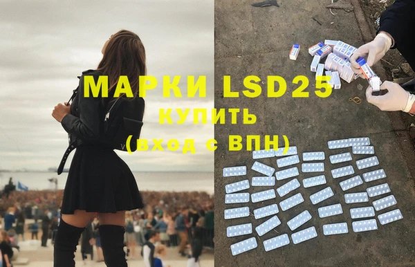 spice Горнозаводск
