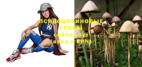 метамфетамин Гусь-Хрустальный