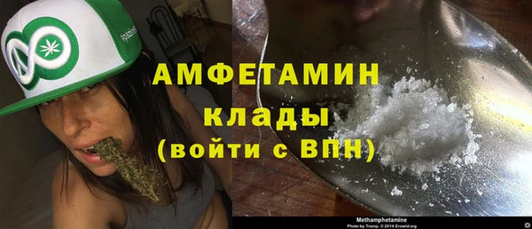 прущие крисы Гусев